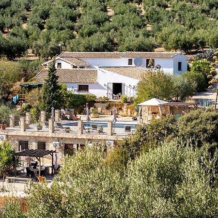Hacienda La Buena Vida B&B En Appartementen Casita La Bruja Algarinejo الغرفة الصورة