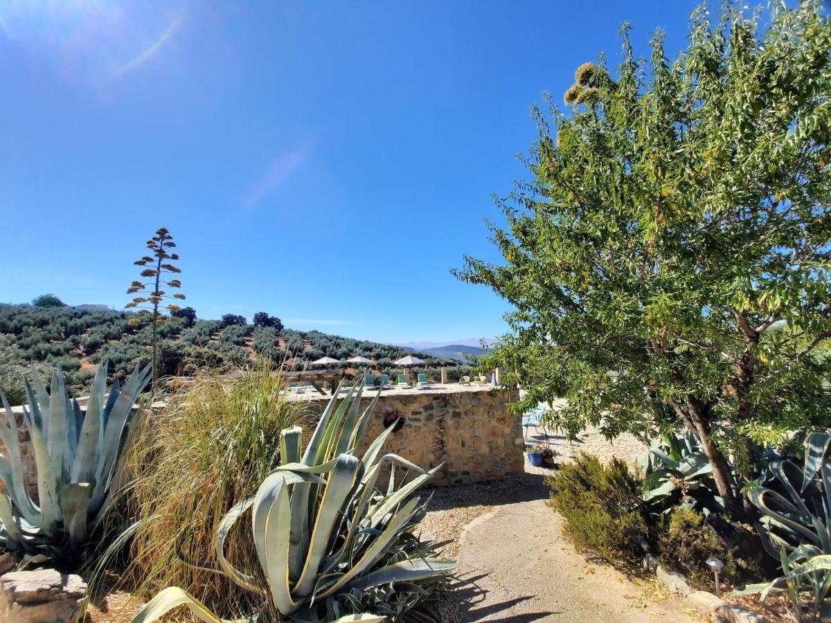 Hacienda La Buena Vida B&B En Appartementen Casita La Bruja Algarinejo المظهر الخارجي الصورة