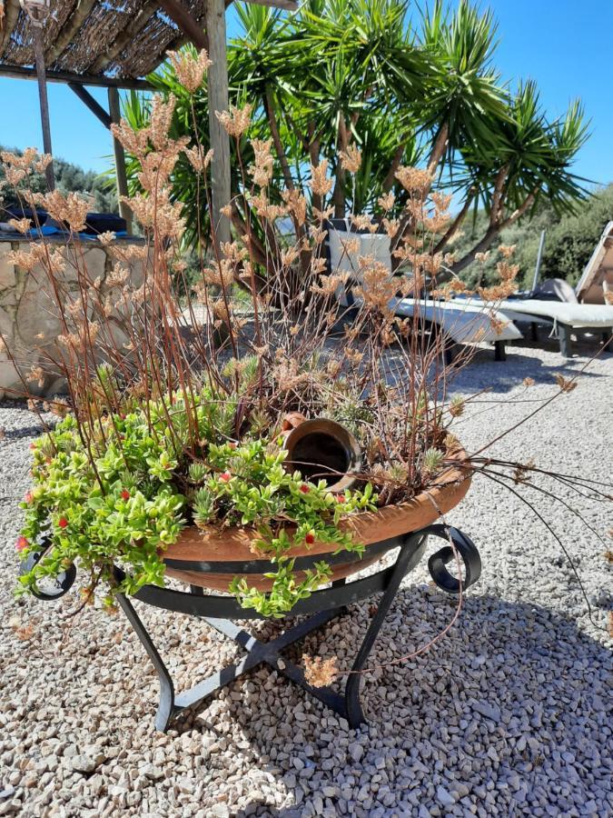 Hacienda La Buena Vida B&B En Appartementen Casita La Bruja Algarinejo المظهر الخارجي الصورة