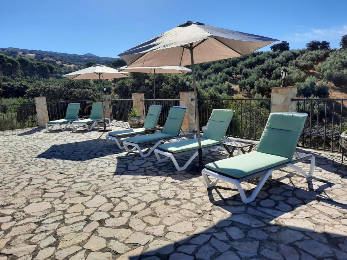 Hacienda La Buena Vida B&B En Appartementen Casita La Bruja Algarinejo المظهر الخارجي الصورة
