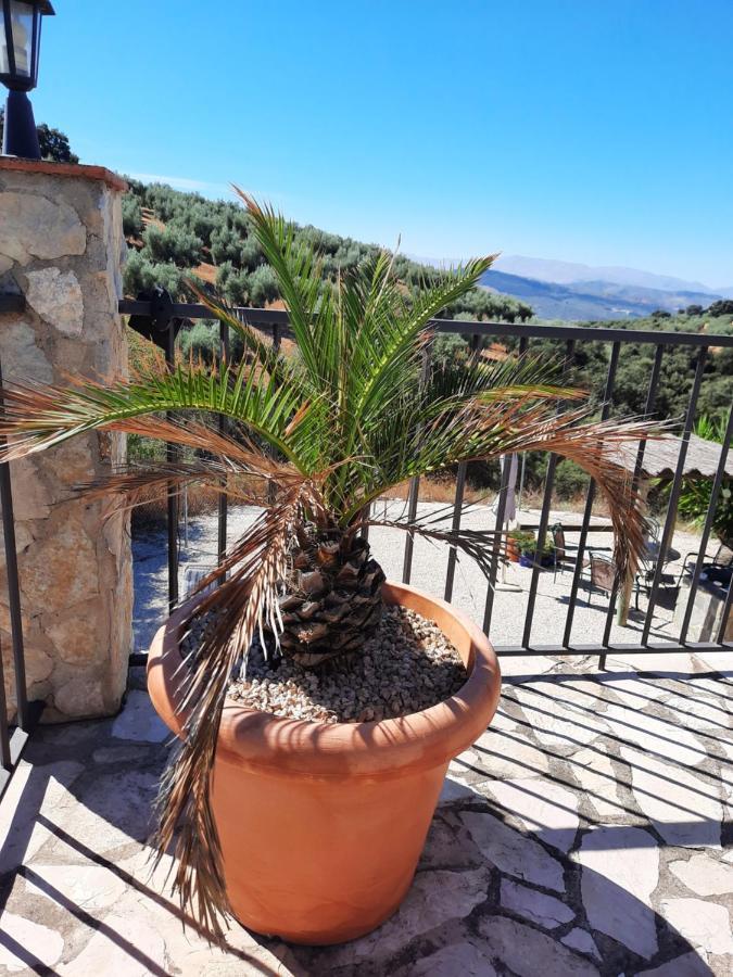 Hacienda La Buena Vida B&B En Appartementen Casita La Bruja Algarinejo المظهر الخارجي الصورة