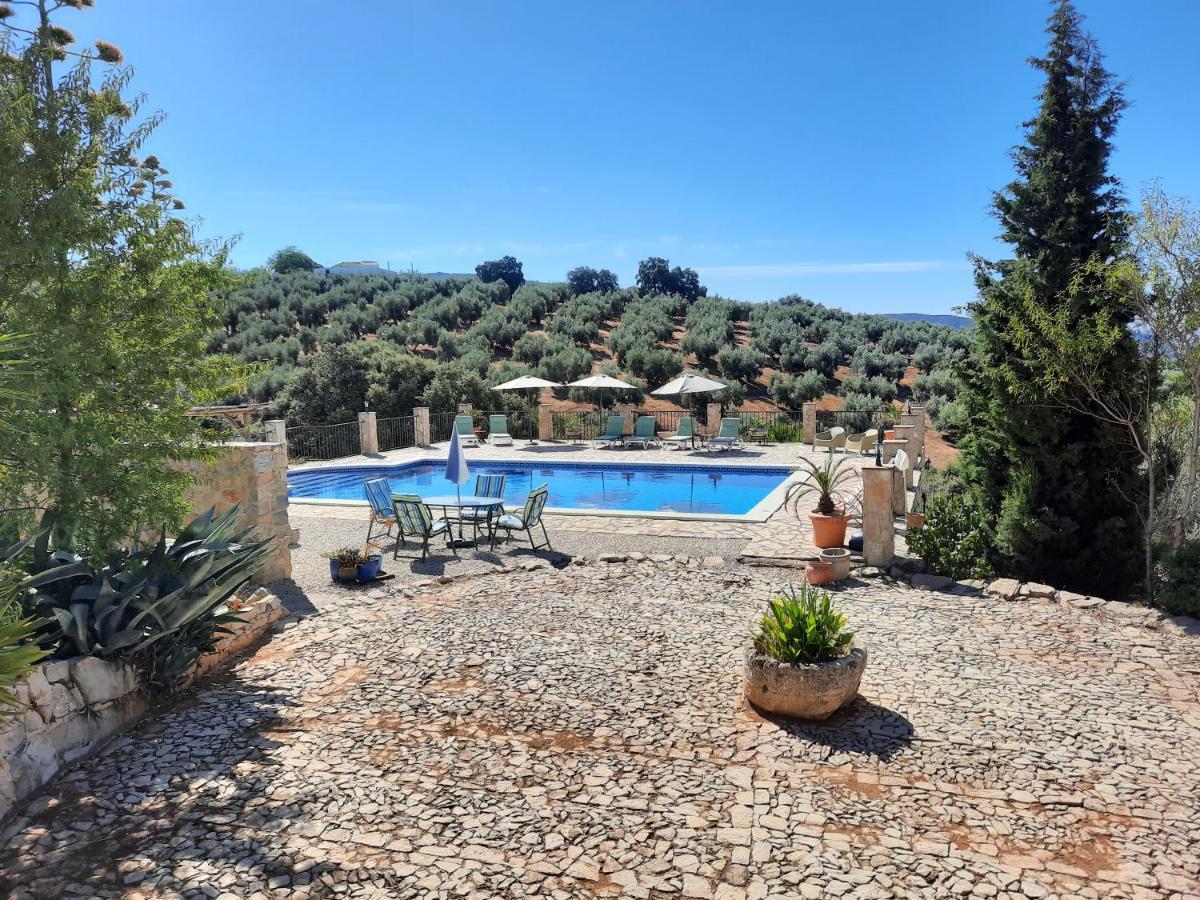 Hacienda La Buena Vida B&B En Appartementen Casita La Bruja Algarinejo المظهر الخارجي الصورة