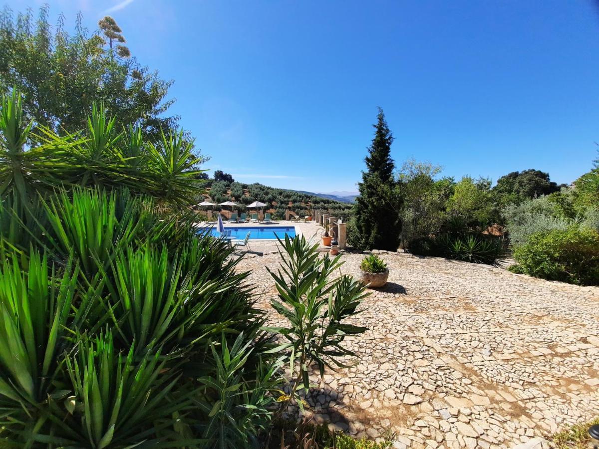 Hacienda La Buena Vida B&B En Appartementen Casita La Bruja Algarinejo المظهر الخارجي الصورة