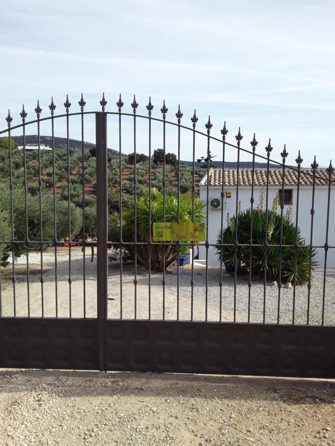 Hacienda La Buena Vida B&B En Appartementen Casita La Bruja Algarinejo المظهر الخارجي الصورة