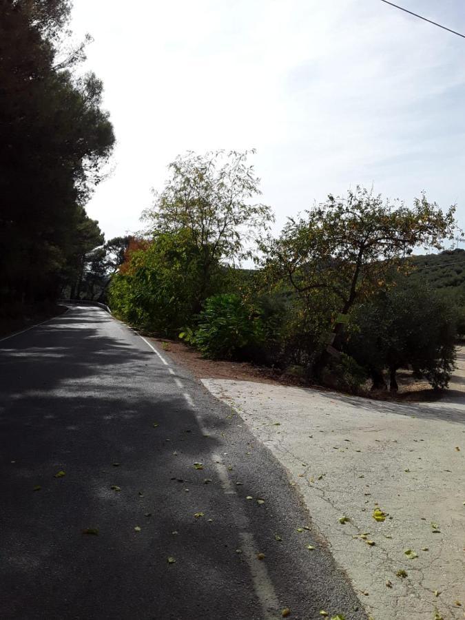 Hacienda La Buena Vida B&B En Appartementen Casita La Bruja Algarinejo المظهر الخارجي الصورة
