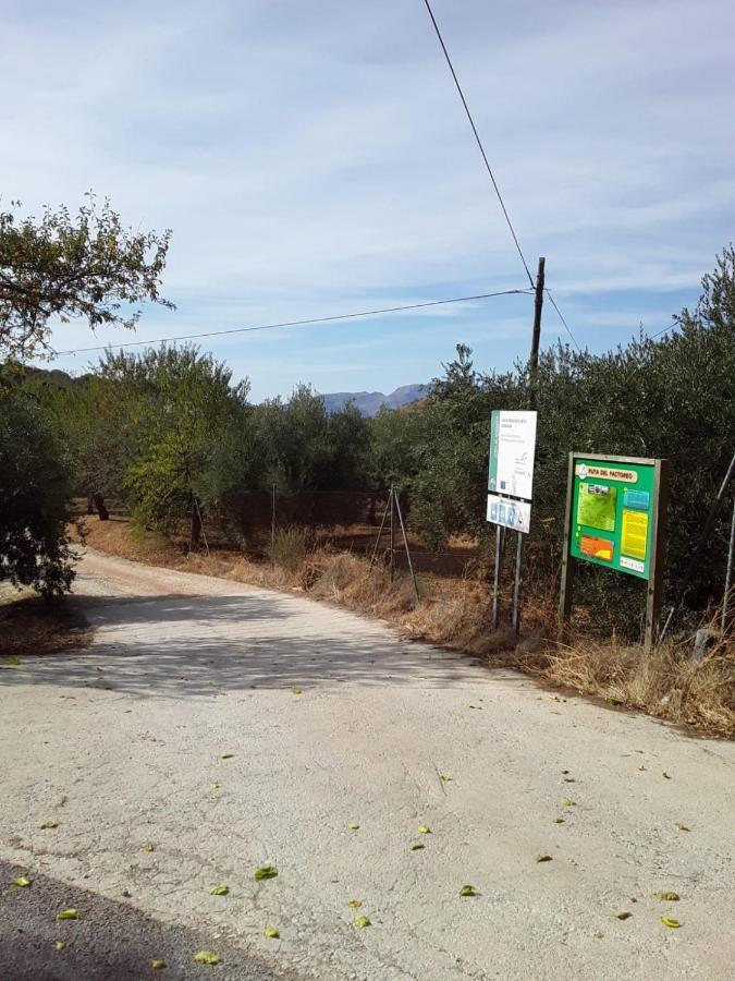 Hacienda La Buena Vida B&B En Appartementen Casita La Bruja Algarinejo المظهر الخارجي الصورة