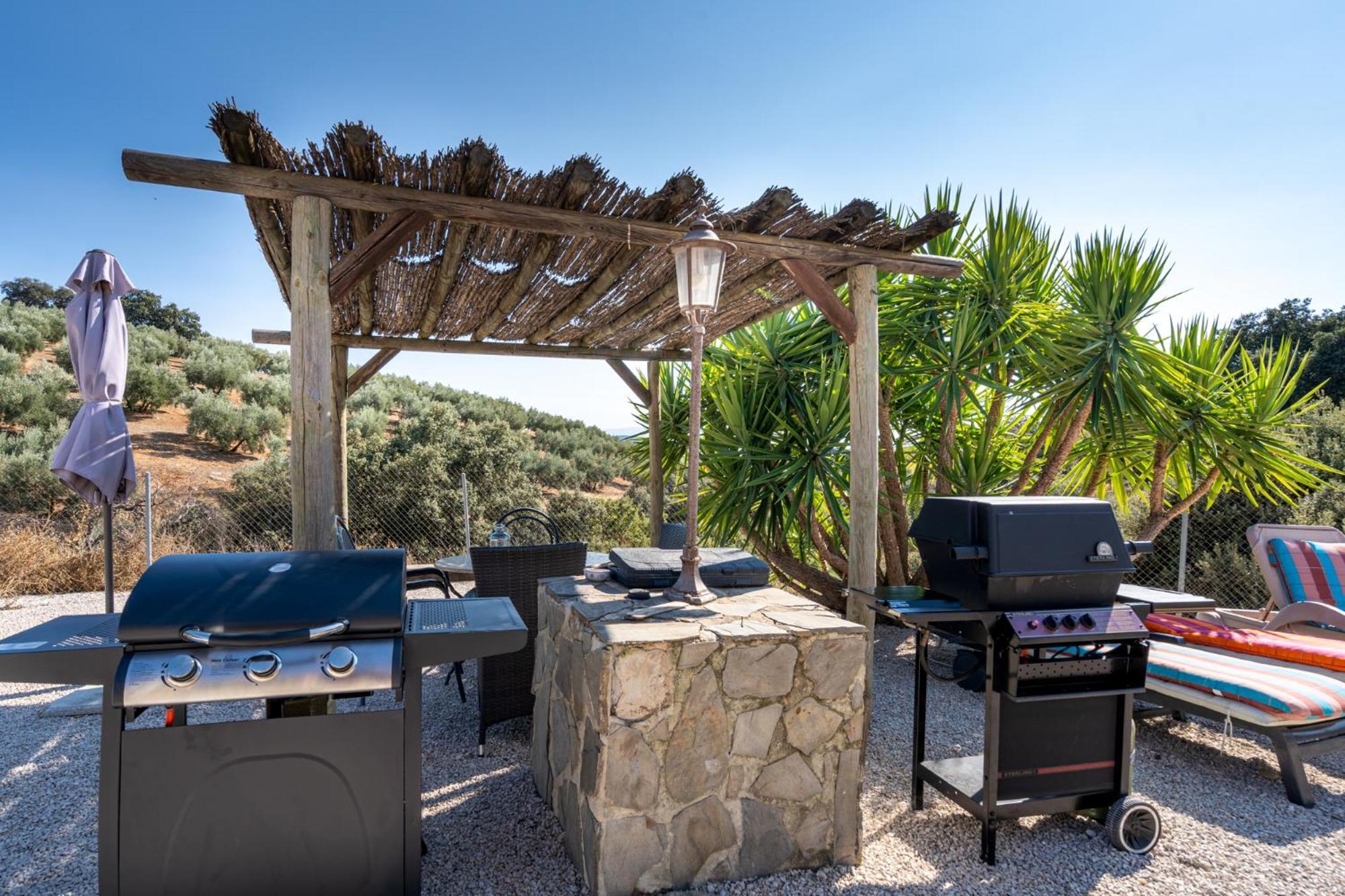 Hacienda La Buena Vida B&B En Appartementen Casita La Bruja Algarinejo الغرفة الصورة