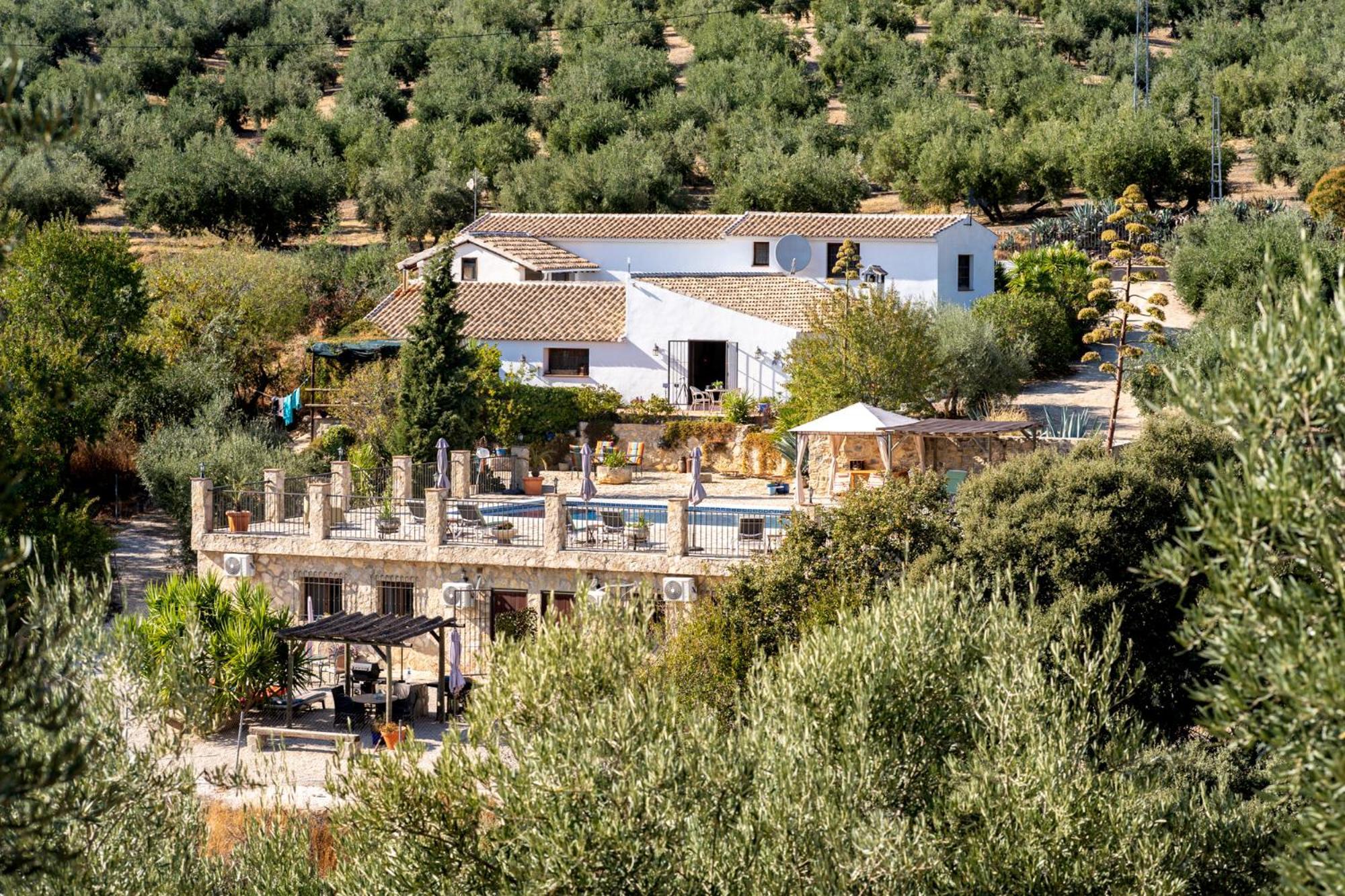 Hacienda La Buena Vida B&B En Appartementen Casita La Bruja Algarinejo الغرفة الصورة